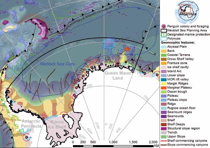 Einzigartige Ozeanographie der Weddell-Wirbel Der Weddell-Wirbel, eine riesige, im Uhrzeigersinn verlaufende Wirbelströmung, beherrscht die Dynamik im südlichen Teil des Atlantiksektors des Südlichen
