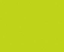 Paket HL16 Ausstattungspaket HL16 Kabinenwände: NC09: Green Lime Deckentyp & Beleuchtung: UP37 Automatische Abschaltung der Kabinenbeleuchtung Wand mit Bedientableau: NC18: Night Garden Böden: SC05