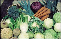 Klima-gesunde Ernährungstipps für eine nachhaltige Ernährungsweise Weniger Fleisch und Wurst dafür bessere Qualität! Mehr Gemüse und Obst mehr Farbe ins Leben!