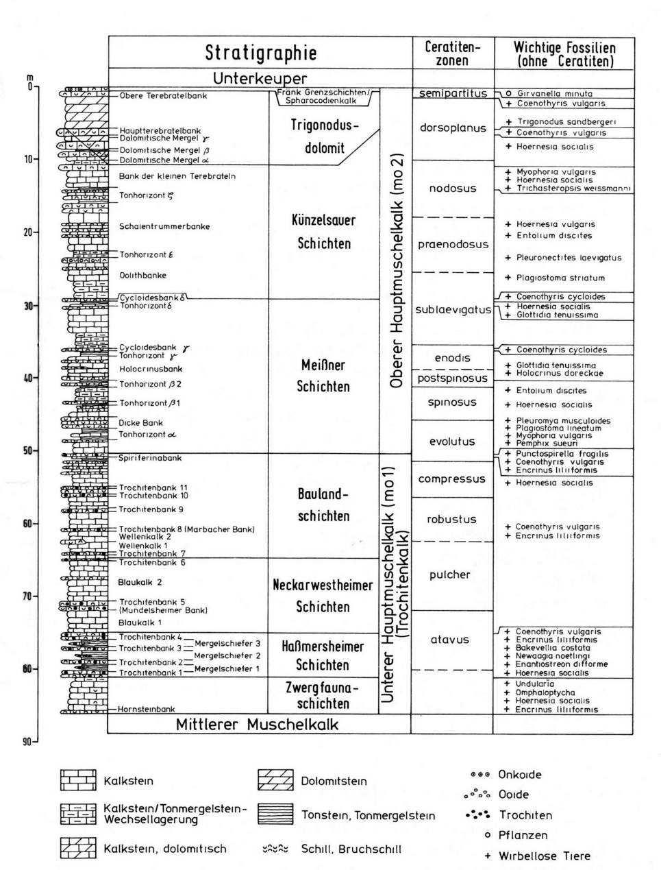 Featured image of post Geologische Zeitskala Erdzeitalter Tabelle / Sie ist nützlich für geologen, paläentologen, oder allen anderen menschen die interesse an geowisschenschaften oder erdgeschichte haben.