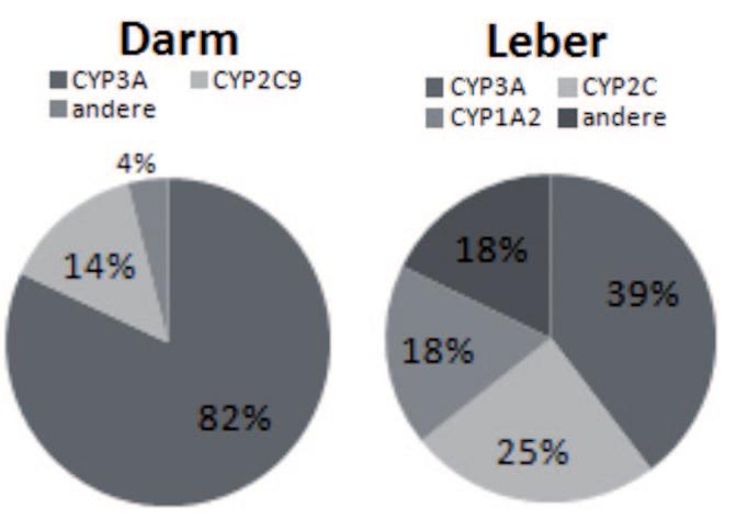 Abb. 2 Verteilung der CYP-Isoenzyme in Dünndarm und Leber und 18% über andere. Die wichtigsten humanen Cytochromoxidasen sind CYP1A2, CYP2C19, CYP2C9, CYP2D6, CYP2E1, and CYP3A4.