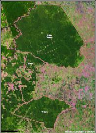 Die grünen, bewaldeten Flächen stimmen mit Indianergebieten überein. rote Flächen zeigen Rodungen und Besiedlung an (Quelle GIZ).