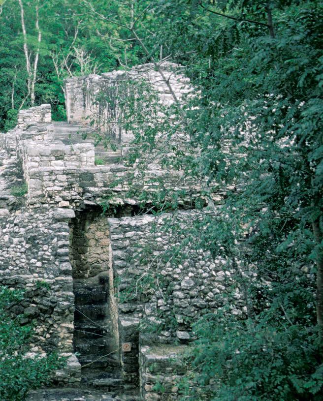 Auf der Halbinsel Yucatán gibt es viele archäologische Maya- Stätten, aber die von Cobá ist an Ursprünglichkeit nicht zu übertreffen.