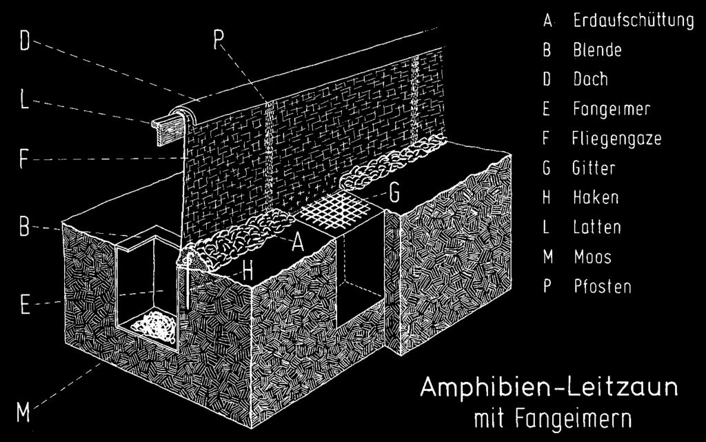 6.3 Fangzaun mit Eimern Amphibien-Leitzaun des BIM mit 25-l-Fangeimern (aus Büchs 1987).