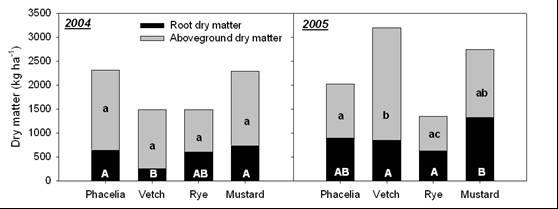 ERGEBNISSE und DISKUSSION Zwischenfrucht-Boden(wasser)interaktionen Biomassebildung und -verteilung Wurzel : Spross Verhältnis (-) Phacelia Vetch Rye Mustard Ø 2004 0.40 0.40 0.69 0.54 0.51 2005 0.