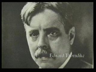 Edward Thorndike: The Law of Effect (1911) beschäftigte sich als Student mit Intelligenz bei Tieren experimentierte, um Tiere beim Problemlösen zu beobachten bastelte