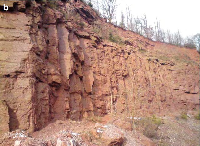 Aufschlussanalogstudien a fluviatile Sandsteine fluviatil-alluviale Konglomerate Beprobung aller Lithofaziestypen Foto: (Bär