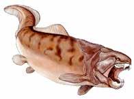 Nun folgte die Zeit, wo die ersten Pflanzen das Festland besiedelten. Die hier beschriebenen Tiere sind allesamt ausgestorben! Dunkleosteus war ein gigantischer Panzerfisch.