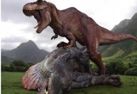 Die Dinos lebten vor ungefähr 200 Millionen Jahren. Aber vor 70 Millionen Jahren sind sie ausgestorben.