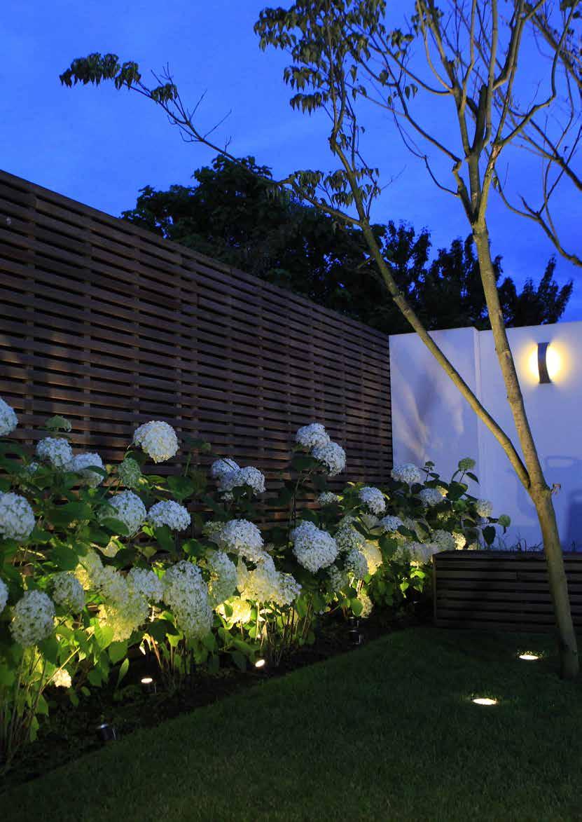 INSPIRATION LEBENDIGES GRÜN Ihr Garten, Ihre (Dach-)Terrasse oder Ihr Innenhof erwacht erst zum Leben, wenn ausreichend Grün vorhanden ist.