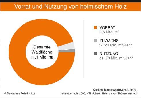 Motiv 5: Der Holzvorrat in deutschen Wäldern hat in den letzten Jahren sogar noch zugenommen, da der jährliche