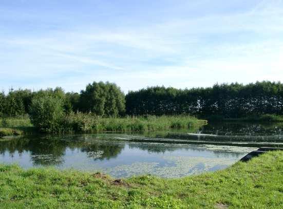 Dambeck Bild 113: Ablaufbereich Teich 2, Anlage Dambeck