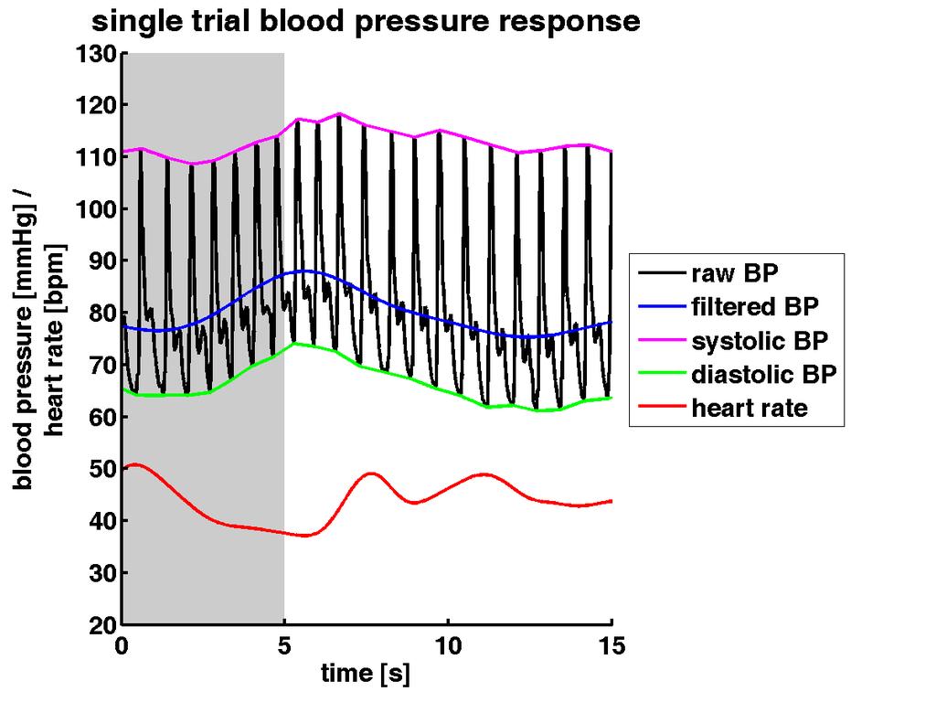 Kontinuierliche Blutdruck-Messung während fmri 2.