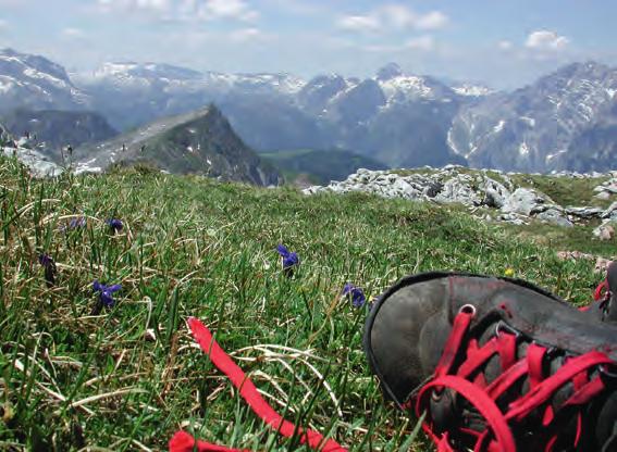 Erkunden Sie die Region Entdecken Sie die außergewöhnliche Landschaft rund um Berchtesgaden