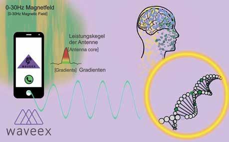Kirschvink - heraus, dass diese Art eines technischen elektromagnetischen Feldes mit seinen Gradienten die Magnetitkristalle in unserem Gehirn reizen.