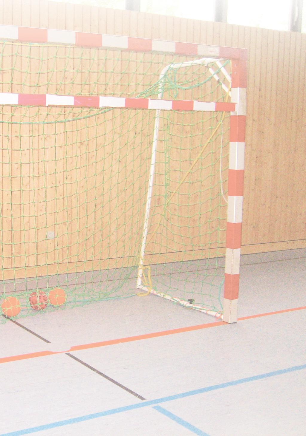 RZ_Satz Ich lerne Handball(2).qxd 03.08.2007 11:43 Uhr Seite 5... Inhalt 1 Lieber Handballanfänger.