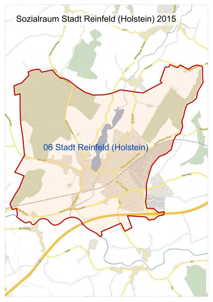 Sozialräume aus Sicht der Jugendhilfe im Kreis Stormarn_ 109 11.9 Sozialraum 06 Stadt Reinfeld (Holstein) 06 Stadt Reinfeld (Holstein) (31.12.