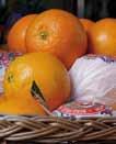 Konzerte im Advent Apfelsinenaktion zum 2. und 4. Adventswochenende gehen Kinder unserer Gemeinde von Haus zu Haus und bieten Apfelsinen und Mandarinen zum Kauf an.