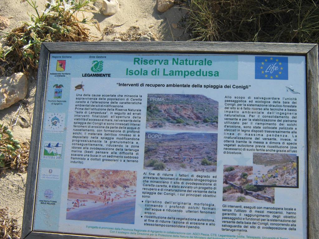 Avere poi notizie sull isola di Lampedusa da parte di due volontari sui generis quali Annette Wenzel e suo marito, il giornalista Renato Camarda, firma da me apprezzata con l esperienza de «L Isola