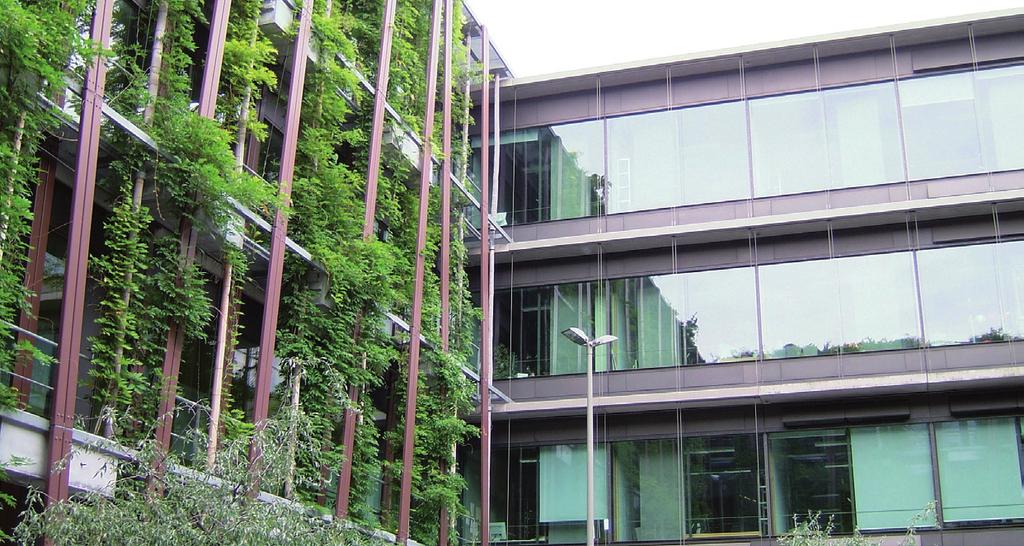 29 Physik-Institut der Humboldt-Universität zu Berlin am Standort Adlershof. Südfassade mit Fassadenpflanzen, die im Sommer als dichter grüner Vorhang wirken.