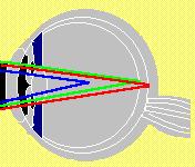 Der Bildschirm Ergonomische Anforderungen: entsprechend der Sitzposition frontaler Blick auf den Bildschirm Abstand min.