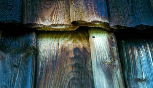 Einführung Verfärbungen An Scheunen ist das dunkel verwitterte Holz an manchen Stellen durch den Urin der Fledermäuse ausgeblichen. Insbesondere in Ostbayern (z. B.