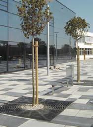 Aguss Baumschutzroste im Radialdesign Klassisches Design in sieben Größen und jeweils Formen: Aguss Baumschutzroste im Radialdesign mit einer Schlitzweite von