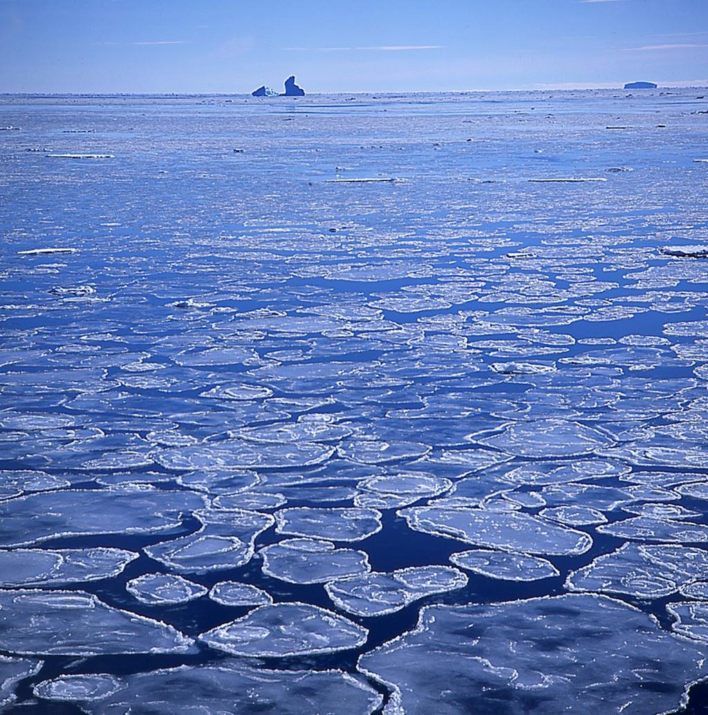 Was ist Meereis? Meereis ist gefrorenes Meerwasser. Beim Gefrieren von Meerwasser gefriert nur das Wasser, das Salz fällt aus.