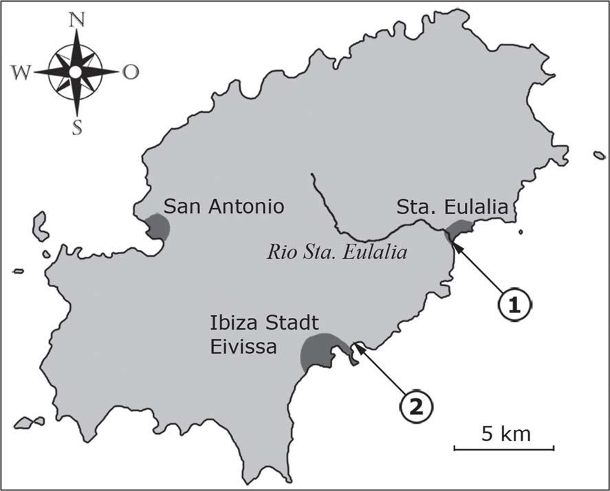 838 Abb. 1: Untersuchungsgebiete auf der Baleareninsel Ibiza. 1 = Unterlauf des Rio Santa Eulalia; 2 = Straßengräben bei Talamanca. Untersuchungsgebiet 1: Rio Santa Eulalia (Abb.