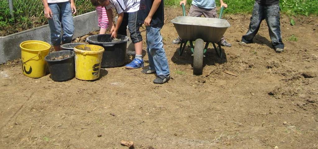 Auch der Bauhof unterstützte die Bauarbeiten, so dass das Beet nun fertig gestellt ist. Die Kinder haben bereits gesät und gepflanzt und müssen nun regelmäßig gießen.