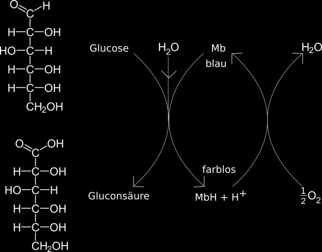entsteht. Methylenblau befindet sich nun wieder im Ausgangszustand und kann mit einem neuen Glucosemolekül reagieren.