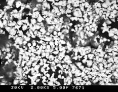 nachgewiesen 31 Erich Gülzow Micrographs imaged by SEM