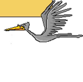 Die Form der Flügel Der Flügel eines Vogels hat eine ganz bestimmte Form.