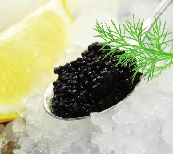 183 7,60 sibirskaya CAVIAR (Baerii) Caviar vom Sibirirschen Stör aus Aquakultur in Deutschland.