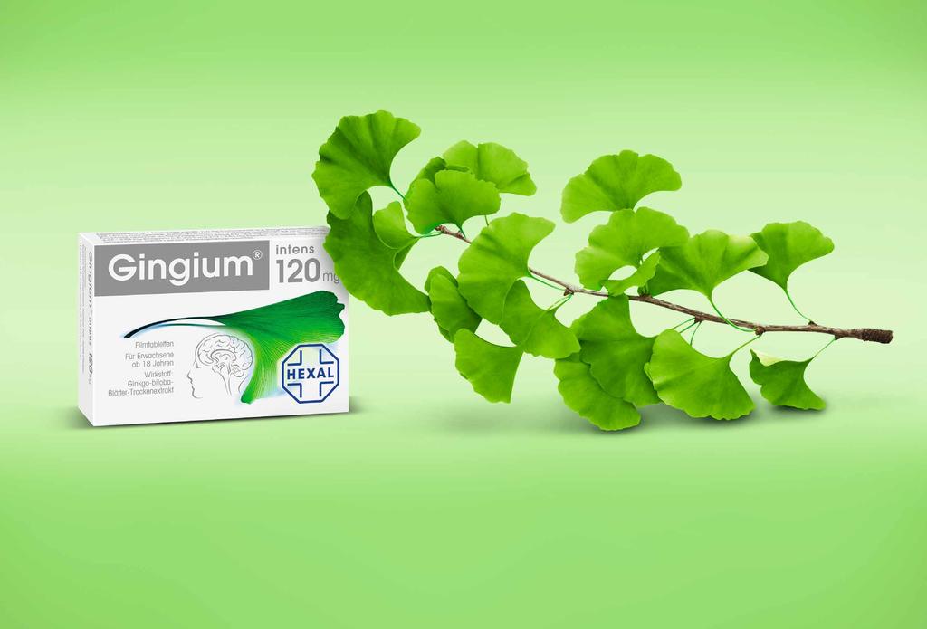 Gingium als pflanzliche Unterstützung Anwendungshinweise: Dosierung 20 240 mg/tag z.b.