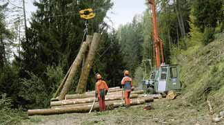 Regel 1 Wir führen Arbeiten mit besonderen Gefahren nie allein aus. Arbeitnehmer: Ich führe Waldarbeiten mit besonderen Gefahren, z. B. Fällarbeiten, nie allein aus.