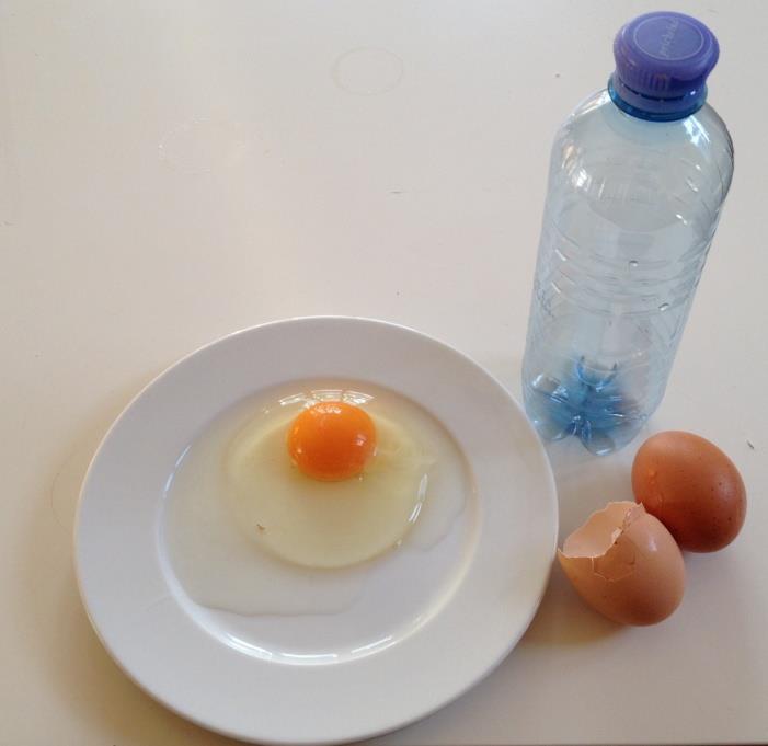 Forschungsauftrag 3 Du brauchst: ein Ei eine kleine leere PET-Flasche einen flachen Teller Der kleine Eizauber Schlage das Ei auf den Teller.
