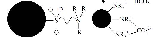 Abbildung 4 - Darstellung der zwei verwendeten Arten stationärer Phasen a) oberflächenfunktionalisierte oder b) pellikulare Ionentauscher [1] Austauschprozess In der Nähe der funktionellen Gruppen NR