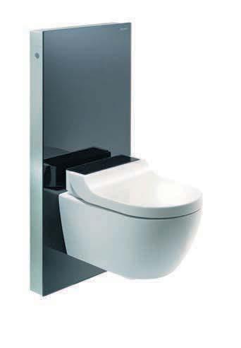 Dusch-WCs problemlos montieren und an die Wasser- und Stromversorgung anschließen lassen.