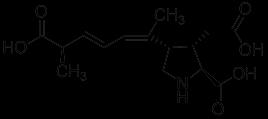 Theorie Tabelle 2.1: Maximal zugelassene Grenzwerte für Phycotoxine in Muscheln.