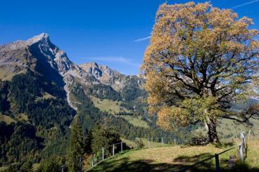 nach Kiental und mit PTT wieder