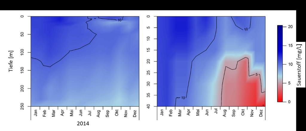 Abbildung 4-2. Sauerstoffprofile vom Bodensee von 2014 (links Obersee, rechts Untersee). Daten: IGKB. Abbildung 4-3.