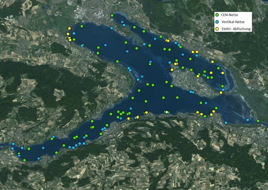 Zusätzlich wurden 108 Uferstrecken elektrisch befischt. Insgesamt wurden somit 524 Befischungsaktionen durchgeführt (Abbildung 4-8, Abbildung 4-9).