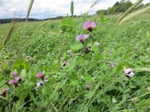 000 Bio-Betriebe vermarkten jedes Jahr erfolgreich ihre Produkte mit der Marktgesellschaft, 900 Landwirte sind Aktionäre.