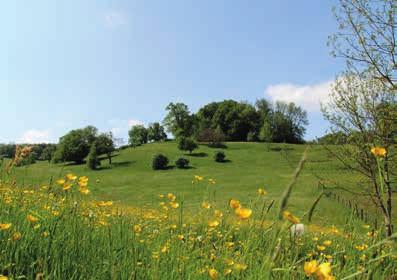 3 Willkommen in der grünen Schatzkammer Der Jurapark Aargau ist ein Regionaler Naturpark von nationaler Bedeutung. Das Parkgebiet umfasst 27 Aargauer und eine Solothurner Gemeinde.