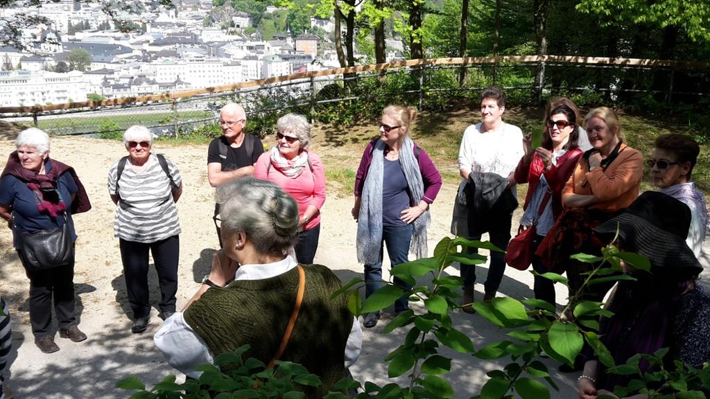 "Über den Dächern von Salzburg" eröffneten sich bei einem Spaziergang von ca. zwei Stunden durch den Buchenwald immer wieder neue Blickwinkel auf die Stadt.