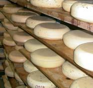 Dem fertigen Käse wird Gelegenheit gegeben, in seiner natürlichen Rinde zu atmen und zu reifen, um dabei an Duft und Aroma zu gewinnen.