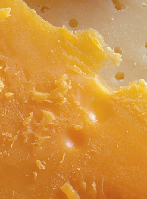 4. Verkauf Bio-Käse und -Milchprodukte kann der Kunde immer am Bio-Siegel (siehe Titelseite) oder Produktschildern erkennen, die einen Hinweis auf die Herkunft der Zutaten aus biologischer