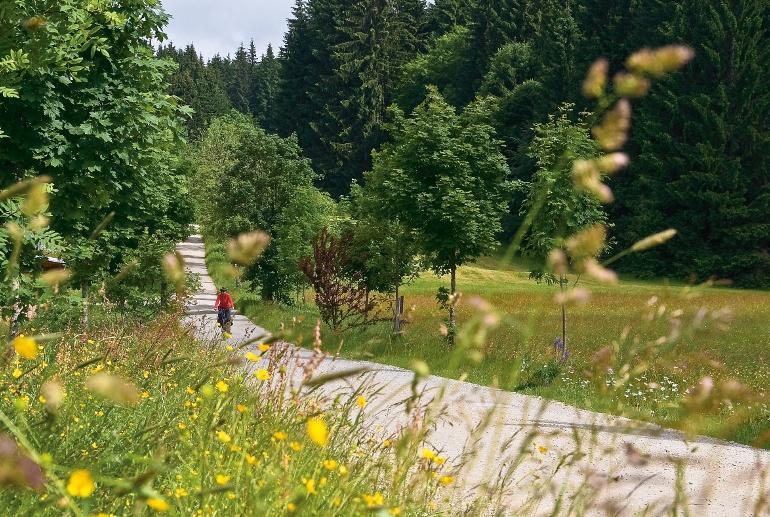 Infos: Nationalpark Bayerischer Wald tourverlauf + GPS-Daten www.bayerninfo.de Rubrik: Niederbayern Suche: Nationalpark-Radweg www.waldgasthof-scharnagl.de. Die Urwaldgebiete Watzlikhain und Mittelsteighütte liegen gleich um die Ecke.