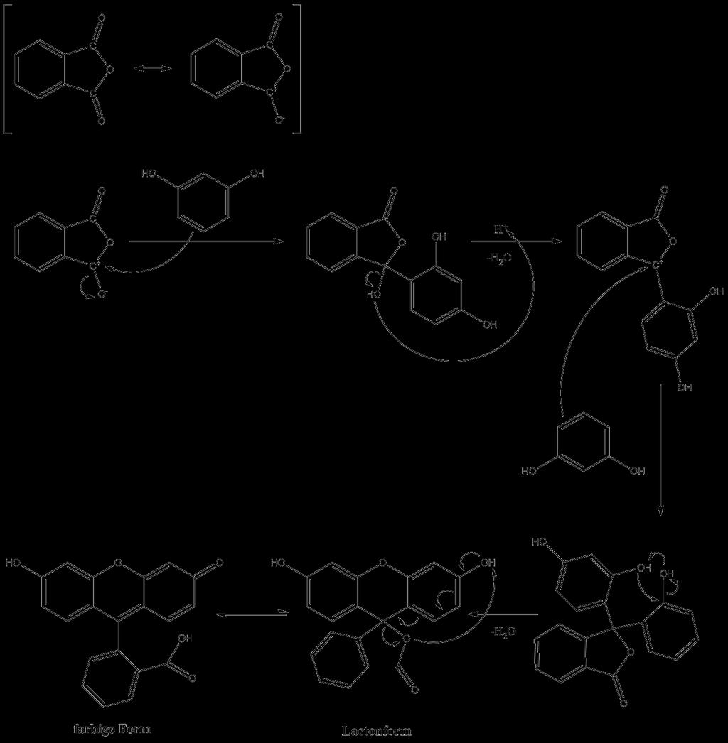 2 Lehrerversuche 5 Abb. 3 Reaktionsmechanismus der Fluorescein-Synthese.